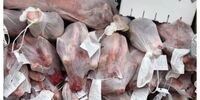 چند کانتینر گوشت منجمد از بندر شهید رجایی ترخیص شد؟