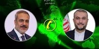 در تماس تلفنی امیرعبداللهیان با هاکان فیدان مطرح شد/ حمله جدید اسرائیل پاسخ قوی‌تری خواهد داشت