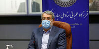 رحمانی فضلی: رتبه بندی شهرها به زرد و آبی رسیده است