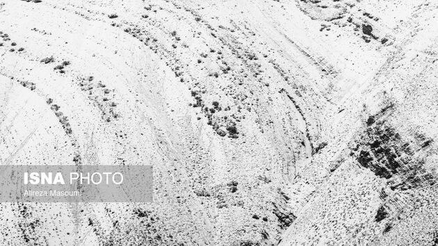 62187531_Alireza-1-of-3-