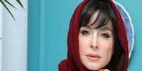 کنایه تند خانم بازیگر درباره گرانی های اخیر+عکس