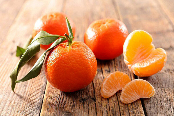 قاتلِ نارنجی عفونت‌های ویروسی را بشناسید