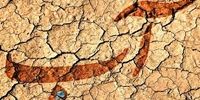 صنایع پرآب اولتیماتوم گرفتند/ تاسیسات خود را به کنار دریا انتقال دهید+ فیلم