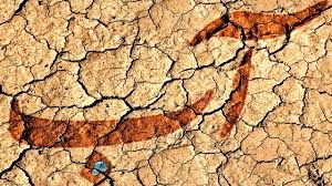 صنایع پرآب اولتیماتوم گرفتند / تاسیسات خود را به کنار دریا انتقال دهید + فیلم