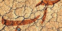 صنایع پرآب اولتیماتوم گرفتند/ تاسیسات خود را به کنار دریا انتقال دهید+ فیلم