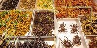 خواص بی نظیر استفاده از حشرات در  رژیم غذایی!