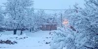 بارش شدید برف در کوهرنگ+ فیلم 