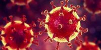 کشف تازه درباره ویروس جدید کرونای انگلیسی/ خطر مرگ بیشتر ندارد