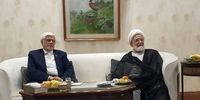 دیدار مهدی کروبی با عارف/ انتظار مردم عمل به شعارهای داده شده در مناظرات زمان انتخابات است+ عکس