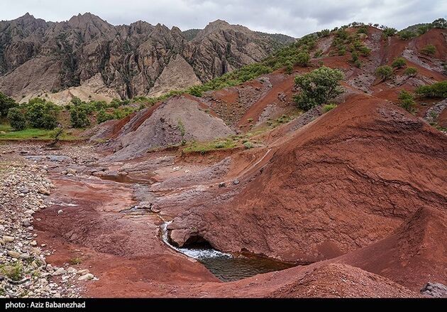 image11