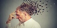 فراموشکارها بخوانند
