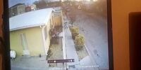 مرگ شوکه کننده صدها پرنده در مکزیک!