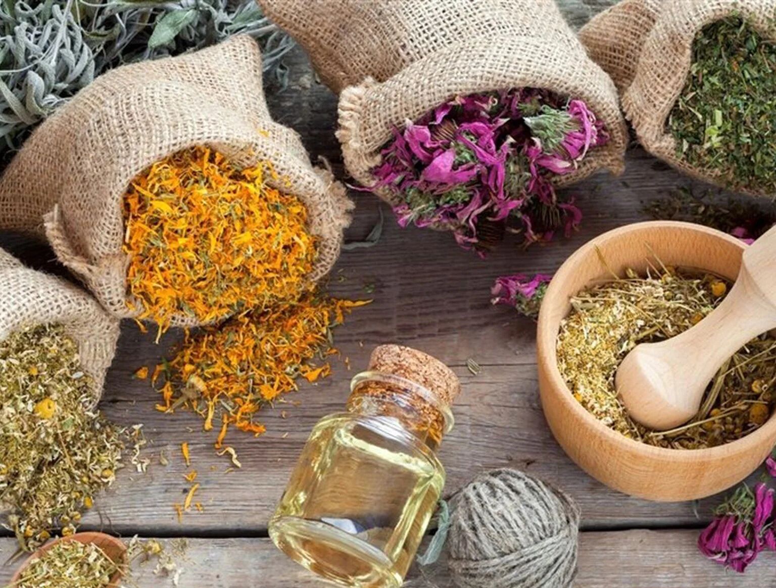 فواید یک گیاه ترش اما پر خاصیت