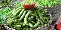 این غذاها برای بیماران کرونایی ممنوع
