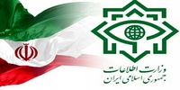 بیانیه وزارت اطلاعات درباره خنثی سازی طرح ترور 35 نفر از مسئولان ارشد