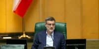 قاضی زاده هاشمی: به هر زوج ۵۰۰ میلیون تومان می‌دهم!