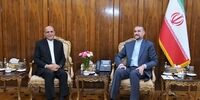 دیدار و گفتگوی امیرعبداللهیان و سفیر جدید ایران در سوئد