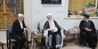 آیت الله بیات‌زنجانی در دیدار با عارف: دولت زخم دی‌ماه را ترمیم کند/ حصر مهندس موسوی در این دولت باید پایان یابد