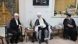 آیت الله بیات‌زنجانی در دیدار با عارف: دولت زخم دی‌ماه را ترمیم کند/ حصر مهندس موسوی در این دولت باید پایان یابد