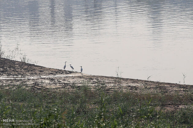 2839890_IMG_4891