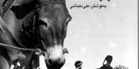 توصیه قهرمان کتاب«خرنامه» به صاحبان قدرت!