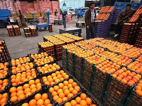 سیب و پرتقال تنظیم بازاری از فردا توزیع می‌شود