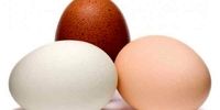 تخم مرغ سفید و قهوه‌ای چه تفاوتی با هم دارد؟
