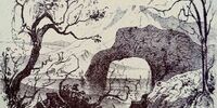چه حیواناتی در تصویر می‌بینید؟