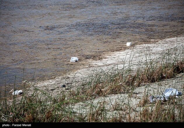 image11