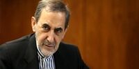 تسلیت‌گویی ولایتی در پی شهادت سخنگوی حماس 