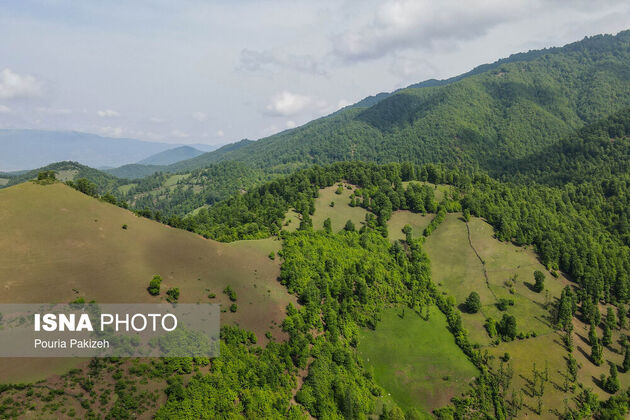 62247414_DJI_0337