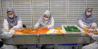 زنان قربانیان اصلی کرونا در بازار کار ایران!