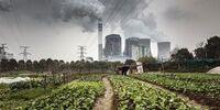 کاهش ۱۰۰ میلیون تنی انتشار CO2 در پی شیوع ویروس کرونا 