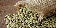 مصرف عدس برای این افراد ممنوع است
