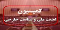 موافقت اکثریت اعضای کمیسیون امنیت ملی با وزیر پیشنهادی دفاع/ برنامه‌های اخلاقی چه بود؟
