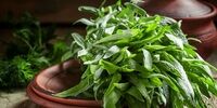 این سبزی معطر قاتل فوری دندان درد است