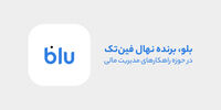 مروری بر خدمات بلو در حوزه مدیریت مالی