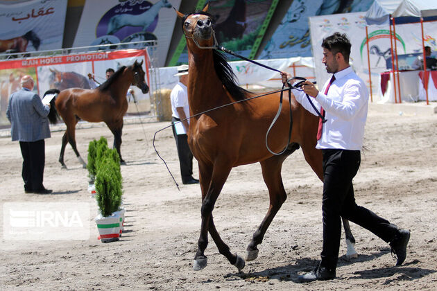 156467133_IMG_9159-copy