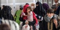 کاهش 35 درصدی اجاره‌بها در برخی نقاط تهران با خروج اتباع 