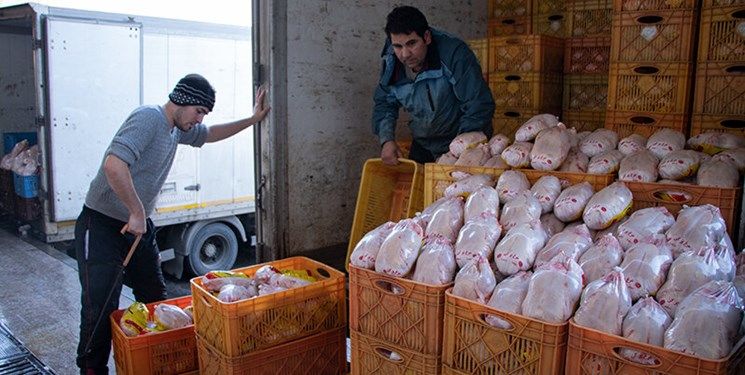 واردات 50 هزار تن مرغ به گمرک ابلاغ شد