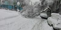 هشدار هواشناسی درباره کوهنوردی/ برف و باران در راه ایران