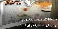جایگزین جدید نان‌ باگت در ساندویچی‌ های تهران + فیلم