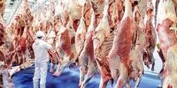 قیمت واقعی گوشت گوسفندی اعلام شد