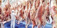 قیمت واقعی گوشت گوسفندی اعلام شد