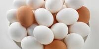 عرضه مرغ و تخم مرغ دولتی در تهران