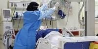 چهار شهر یک استان همچنان در وضعیت قرمز