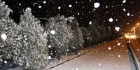 یخبندان در انتظار این استان