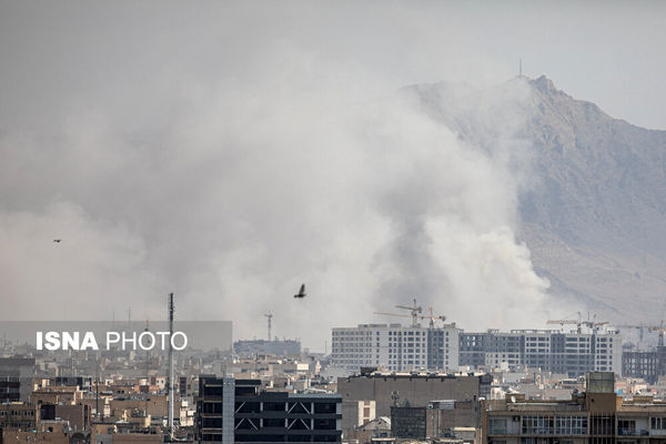 بیگدلی: اسرائیل مثل افعی یکباره زهر خود را می‌ریزد | برای آمریکا و اسرائیل فرسایشی کردن جنگ به صرفه نیست | عمر مذاکره دیگر به پایان رسید