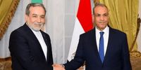 گفتگوی وزرای خارجه مصر و ایران با گروسی