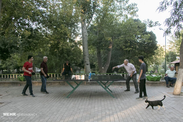 3876577_IMG_1008